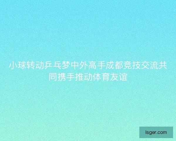 小球转动乒乓梦中外高手成都竞技交流共同携手推动体育友谊